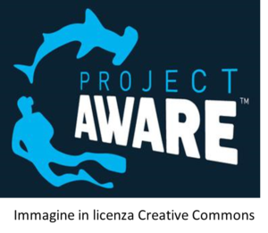 grafica ironica sulla project awareness